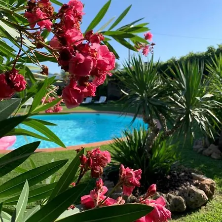 Bed & Breakfast La Preziosa 4*