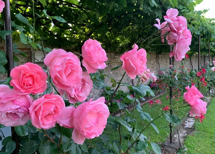 B&B La Preziosa